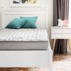 Full size 6-inch Medium Firm Innerspring Mattress with Foam Cushion Comfort Layer