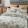 Queen size Boho Floral Botanical Flowers Beige Grey Reversible Quilt Set